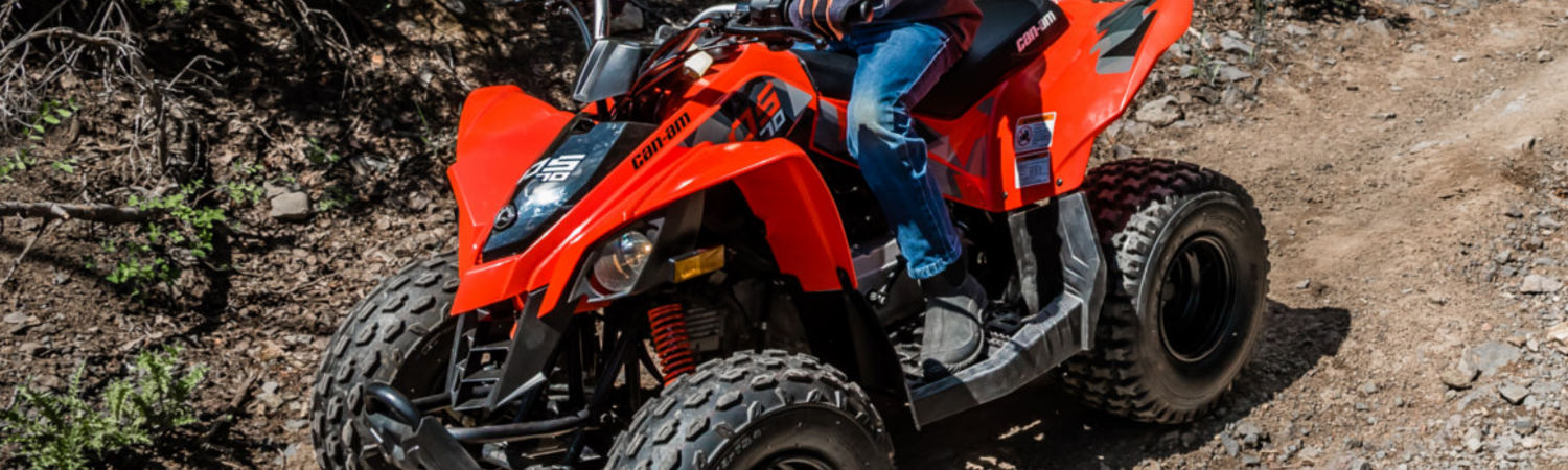 2022 Can-Am® ATV DS90 for sale in Motorcycles and More, Inc., Marthasville, Missouri